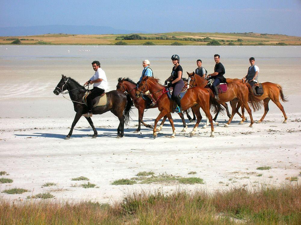 Horse Country Resort Congress & Spa - Hotel Ribot Арбория Экстерьер фото