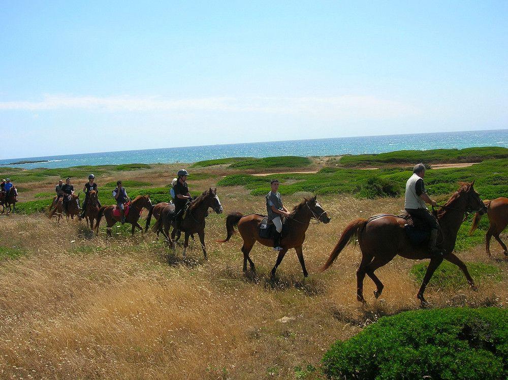 Horse Country Resort Congress & Spa - Hotel Ribot Арбория Экстерьер фото